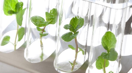 Ogłoszenie naboru wniosków dla działania  2.23 Ochrona przyrody i jej zasobów