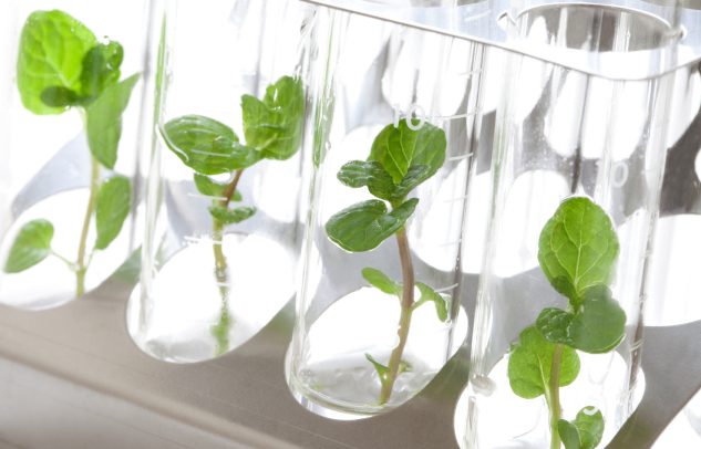  Działanie  2.23 – Wyniki oceny projektów