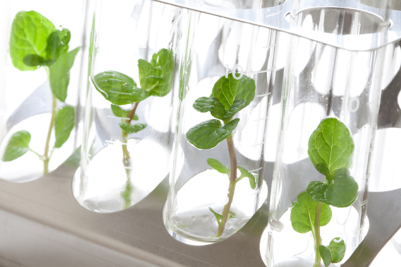 Ogłoszenie naboru wniosków dla działania  2.23 Ochrona przyrody i jej zasobów