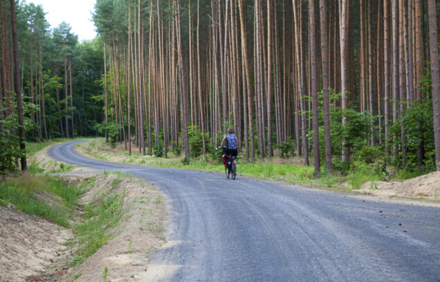  Nowa i wygodna ścieżka rowerowa w regionie. Fundusze europejskie na odcinek Chojna-Krajnik Dolny
