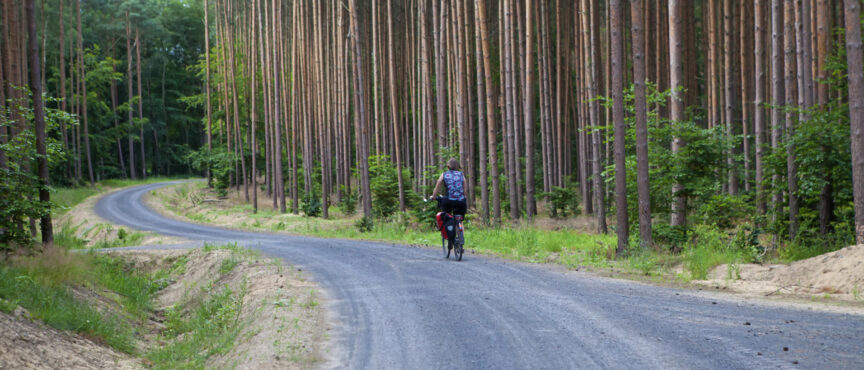 Nowa i wygodna ścieżka rowerowa w regionie. Fundusze europejskie na odcinek Chojna-Krajnik Dolny