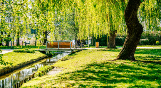 Szykują się inwestycje w zieloną infrastrukturę. Unijne środki dla gmin przyznane