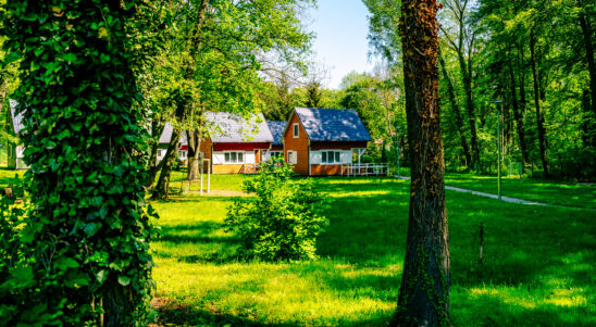 Działanie 6.21 typ 1-2 (RPZ Kardioonkologia) Zakończenie naboru wniosków