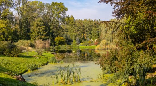 Zyska przyroda, zyskają odwiedzający. Unijna dotacja na odtworzone stawów na terenie Ogrodów Przelewice