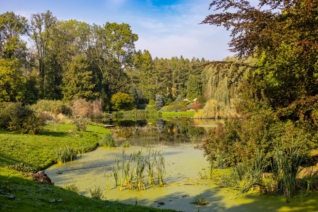 Zyska przyroda, zyskają odwiedzający. Unijna dotacja na odtworzone stawów na terenie Ogrodów Przelewice
