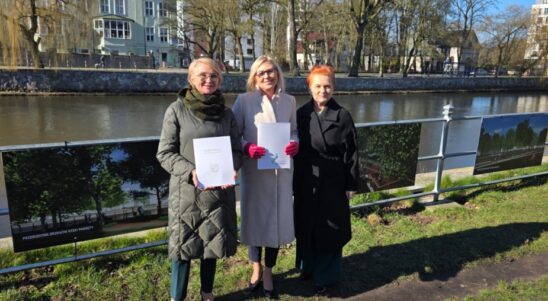 Wielkie zielone zmiany nad Parsętą w Kołobrzegu