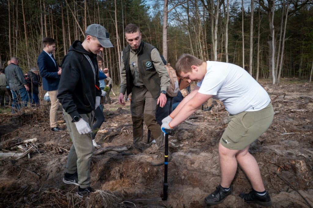 Marszałek Województwa Zachodniopomorskiego Olgierd Geblewicz, zastępca dyrektora ds. gospodarki leśnej Regionalnej Dyrekcji Lasów Państwowych w Szczecinie Maciej Szabla i młodzież podczas sadzenia lasu 15 kwietnia 2025 r.