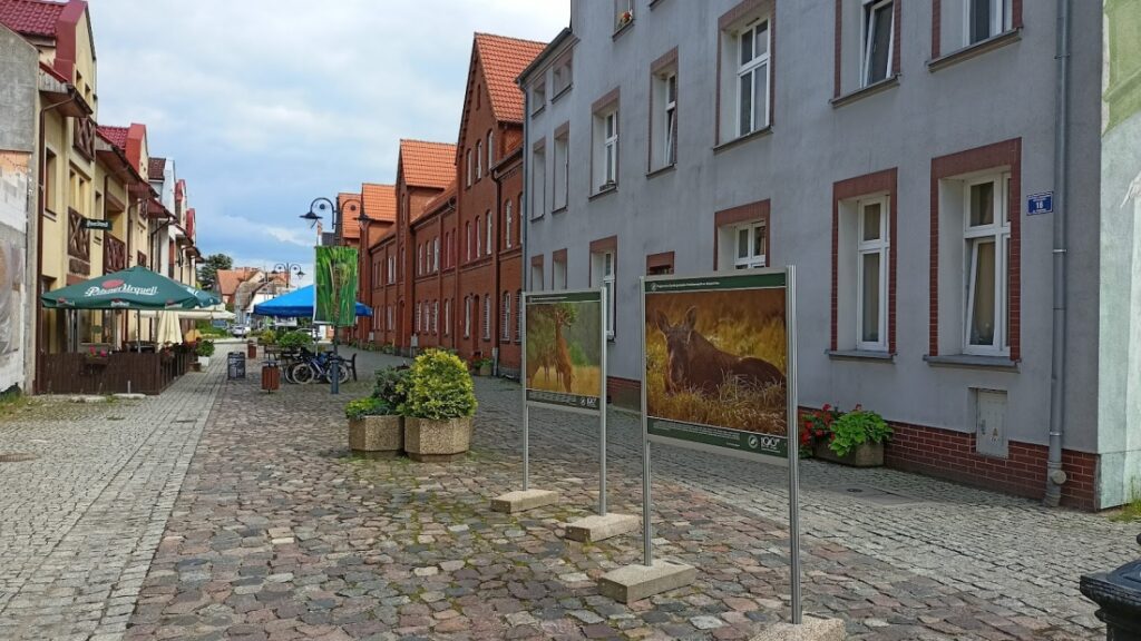 Deptak w Złocieńcu