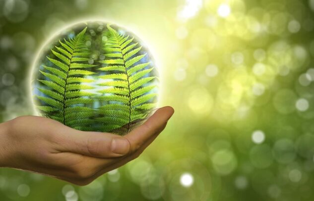  Ogłoszenie naboru wniosków dla działania 2.25 Ochrona powierzchni ziemi i ograniczenie zanieczyszczeń