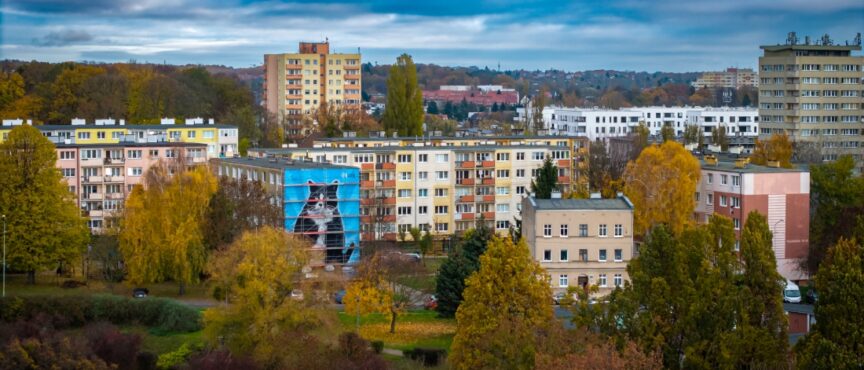 Na Pomorzu Zachodnim powstają ekologiczne murale. Gacek już gotowy