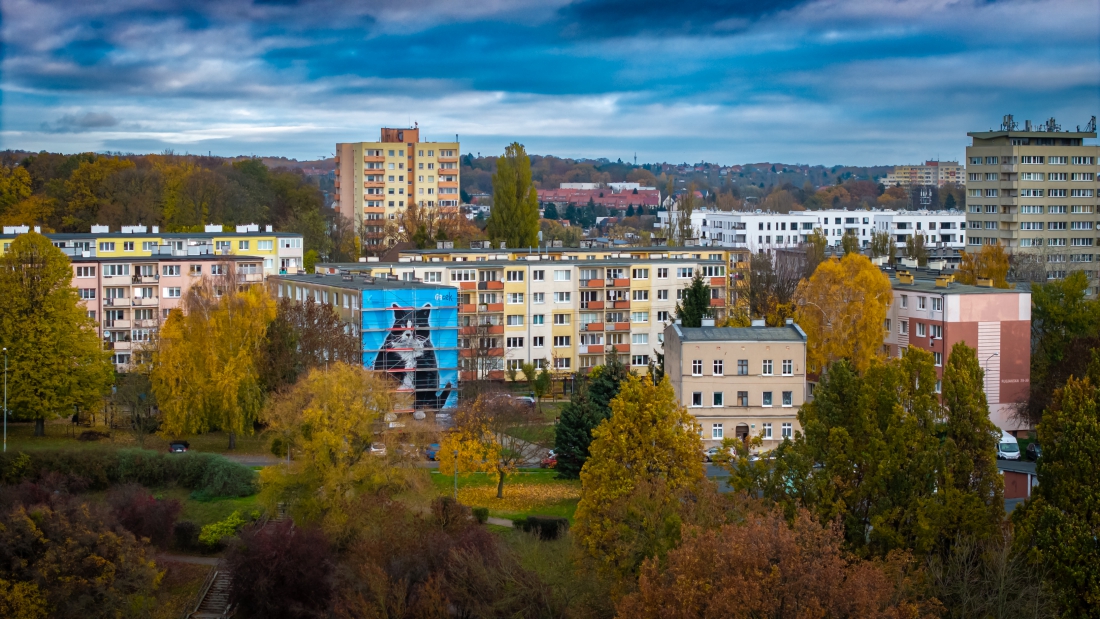 Na Pomorzu Zachodnim powstają ekologiczne murale. Gacek już gotowy