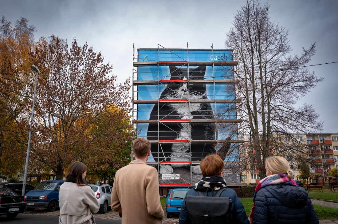 Ekologiczny mural przedstawiający kota Gacka. Powstał na ścianie budynku przy ul. Rugiańskiej34-35 w Szczecinie. Na Pomorzu Zachodnim powstanie 11 ekomurall, pochłaniających zanieczyszczenia powietrza...
