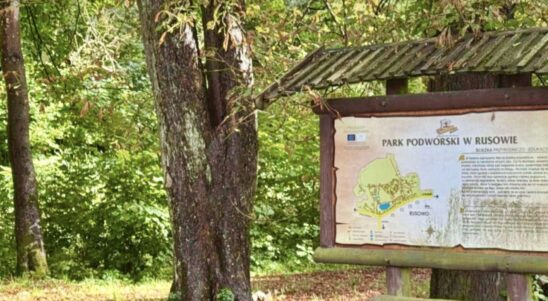 Perła przyrody w Rusowie odzyska dawny blask
