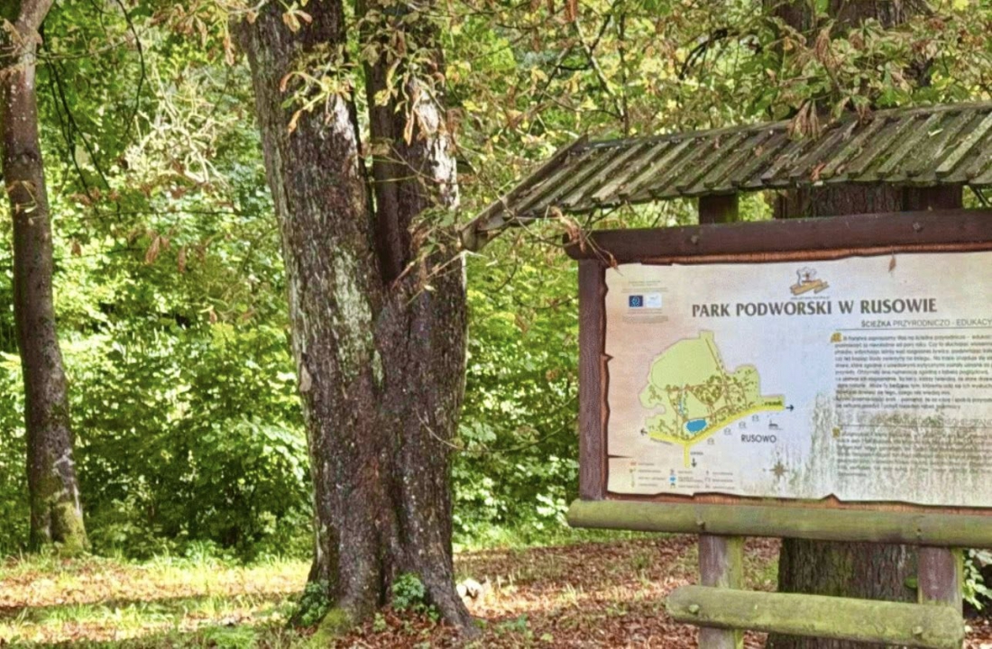 Perła przyrody w Rusowie odzyska dawny blask