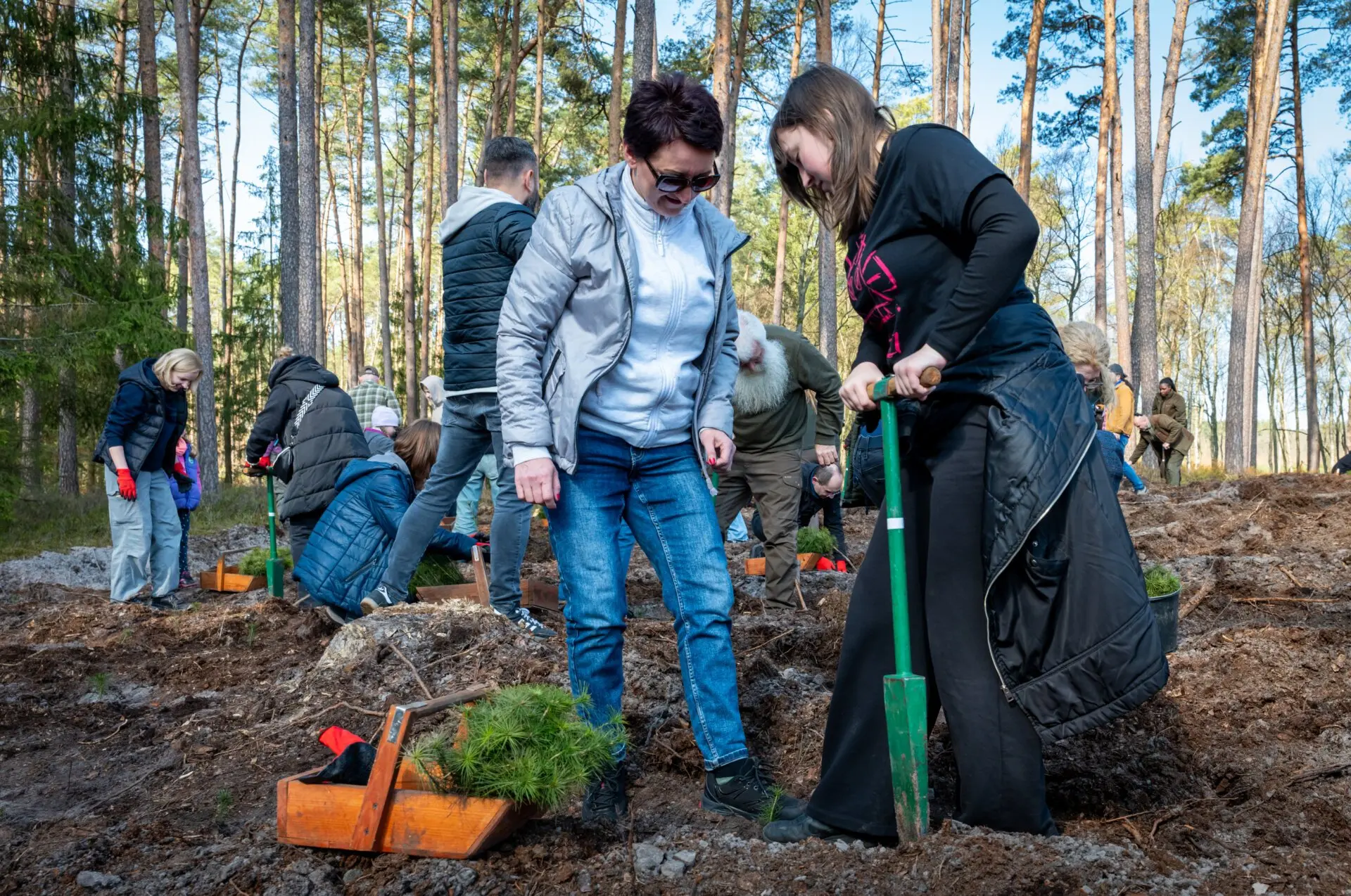 W sumie do posadzenia było około 4 tysięcy drzew....