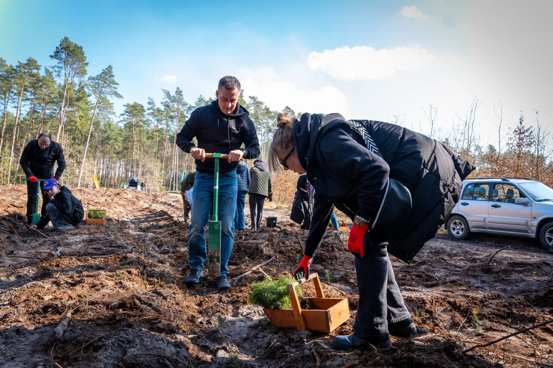 Nadleśnictwo Trzebież wzbogaciło się głównie o sadzonki sosen i buków....