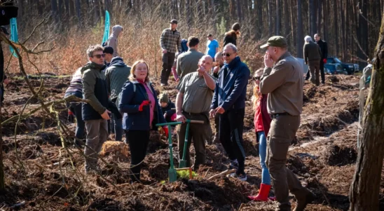 4 tysiące drzew na pierwszy dzień wiosny. Mieszkańcy i leśnicy posadzili las w Trzebieży