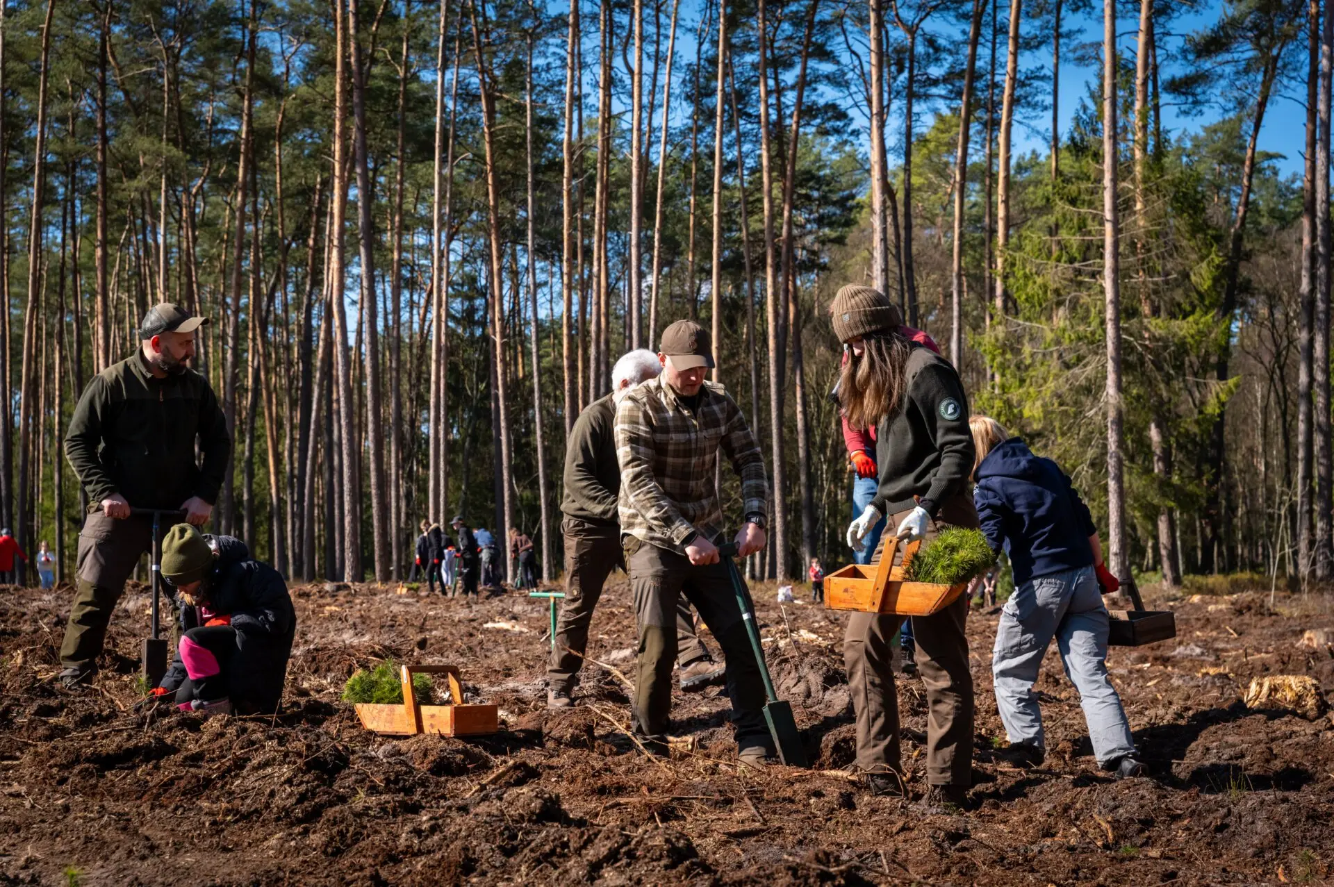 W akcji udział wzięła młodzież, wolontariusze, mieszkańcy i leśnicy....