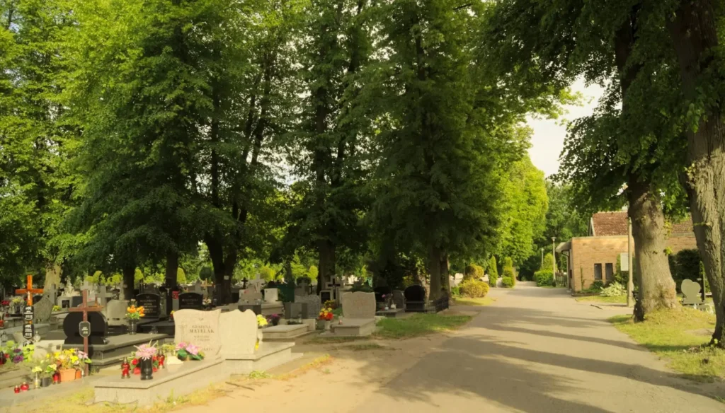 Cmentarz komunalny w Sławnie - widok ogólny