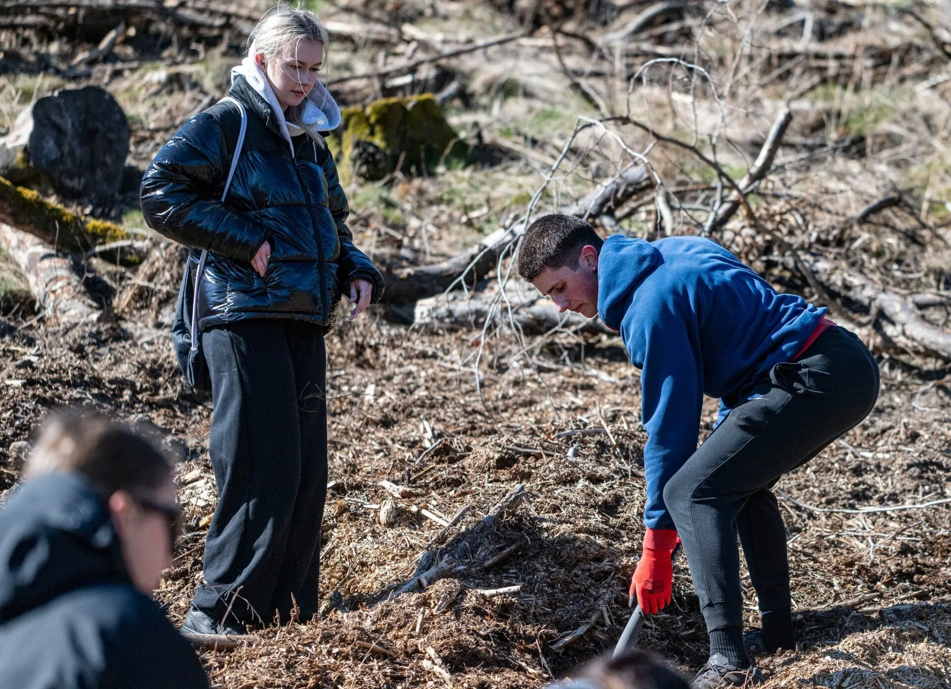 Akcja w Nadleśnictwie w Karnieszewicach...