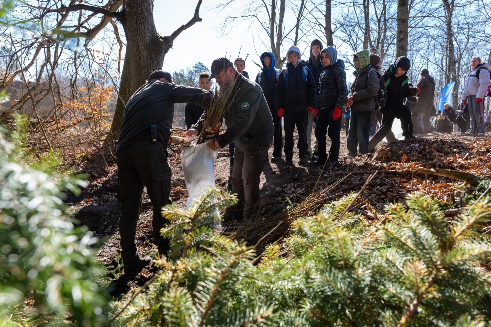 Akcja w Nadleśnictwie Międzyzdroje...