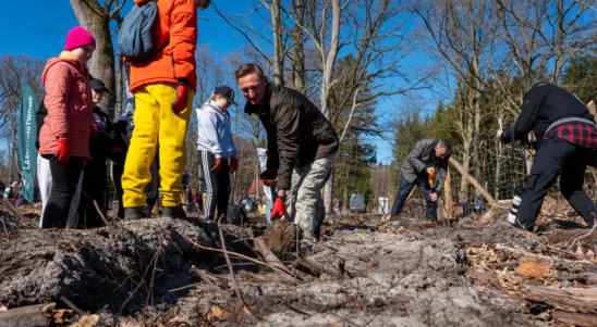 Zielone Pomorze Zachodnie sadzi lasy! Świetne lekcje przyrody w terenie