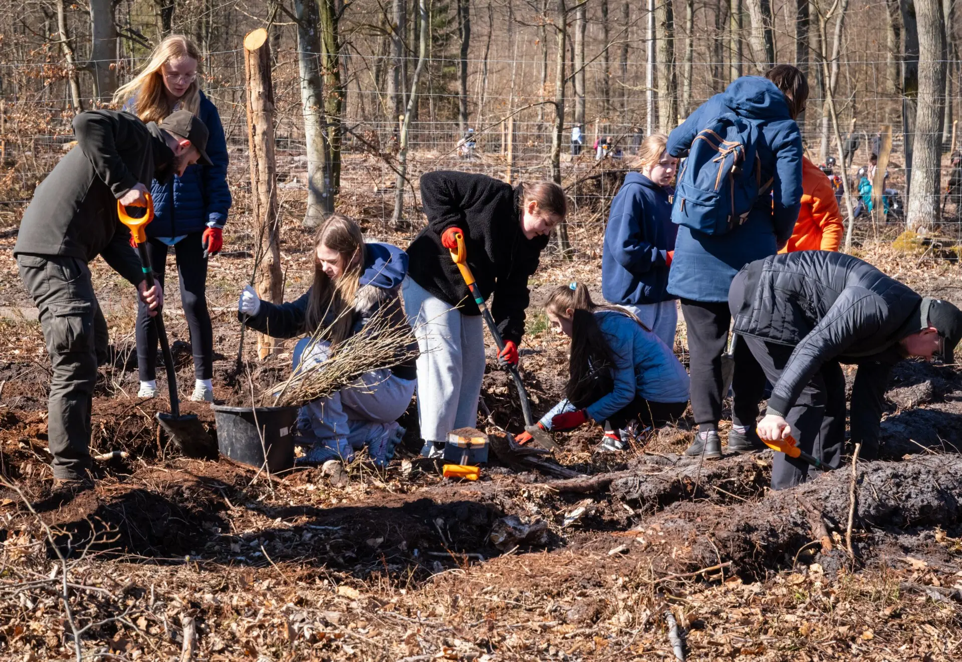 Akcja w Nadleśnictwie Międzyzdroje...