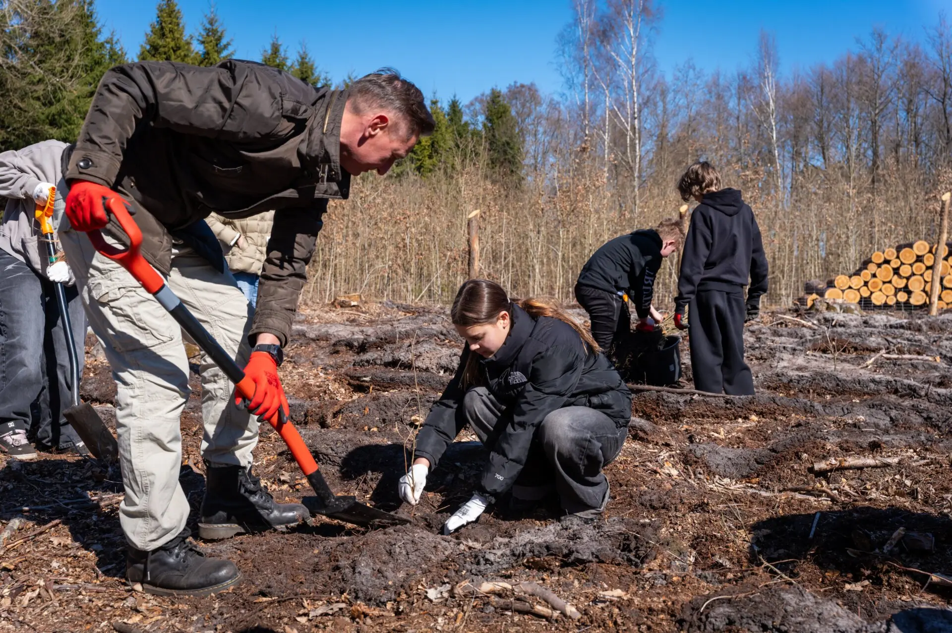 Akcja w Nadleśnictwie Międzyzdroje...