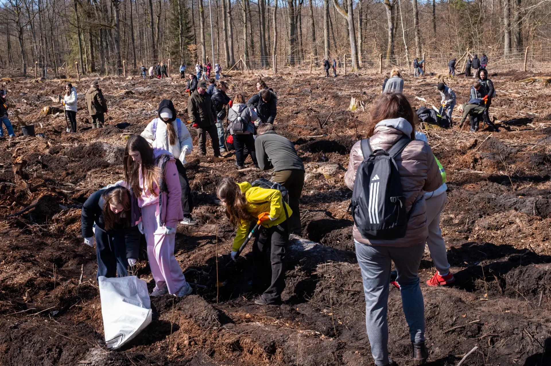 Akcja w Nadleśnictwie Międzyzdroje...