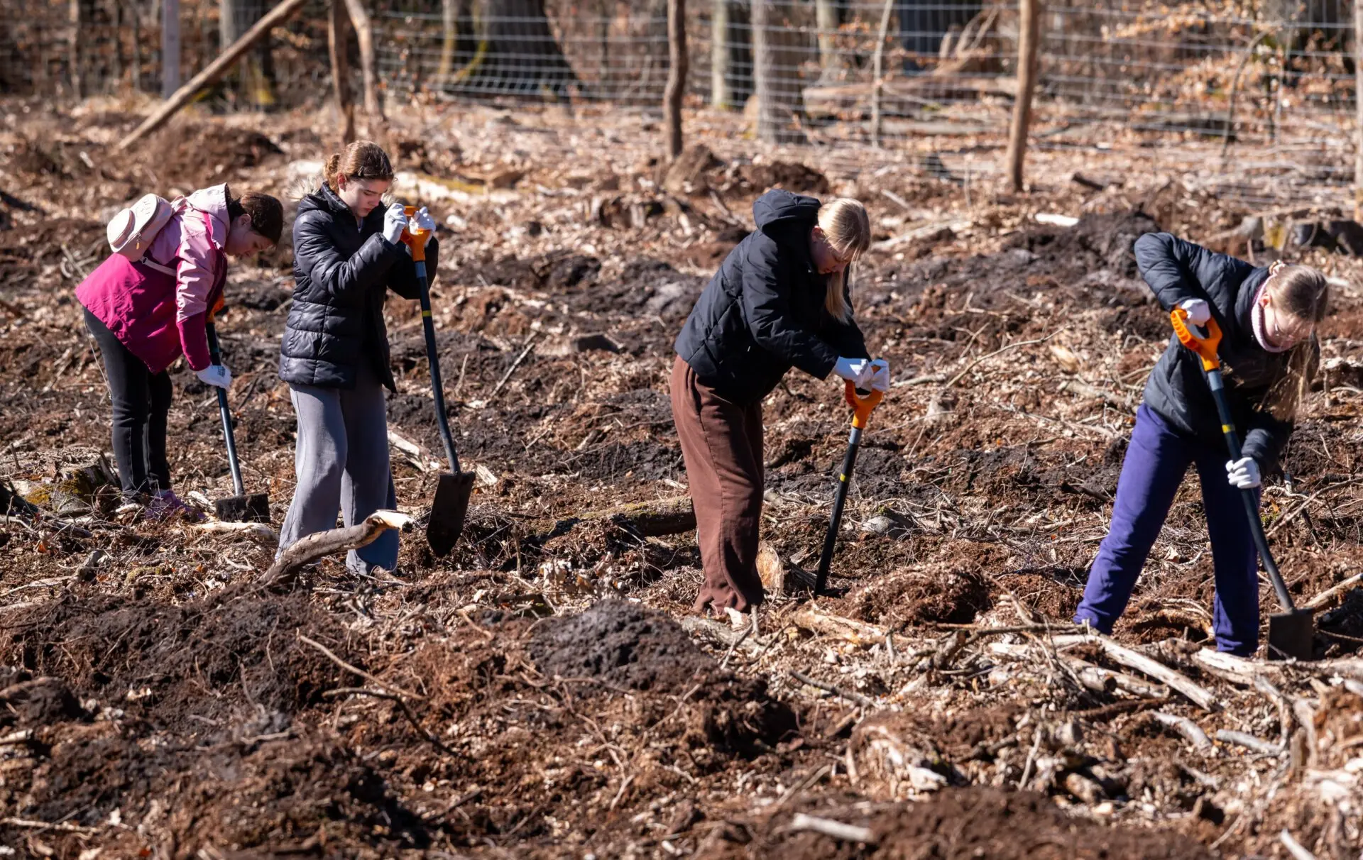 Akcja w Nadleśnictwie Międzyzdroje...
