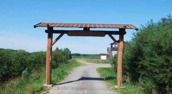 Mokradła Pyszka zyskają nowe życie. Unijne fundusze sfinansują remont infrastruktury