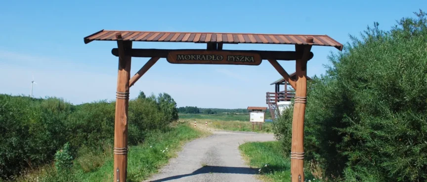 Mokradła Pyszka zyskają nowe życie. Unijne fundusze sfinansują remont infrastruktury